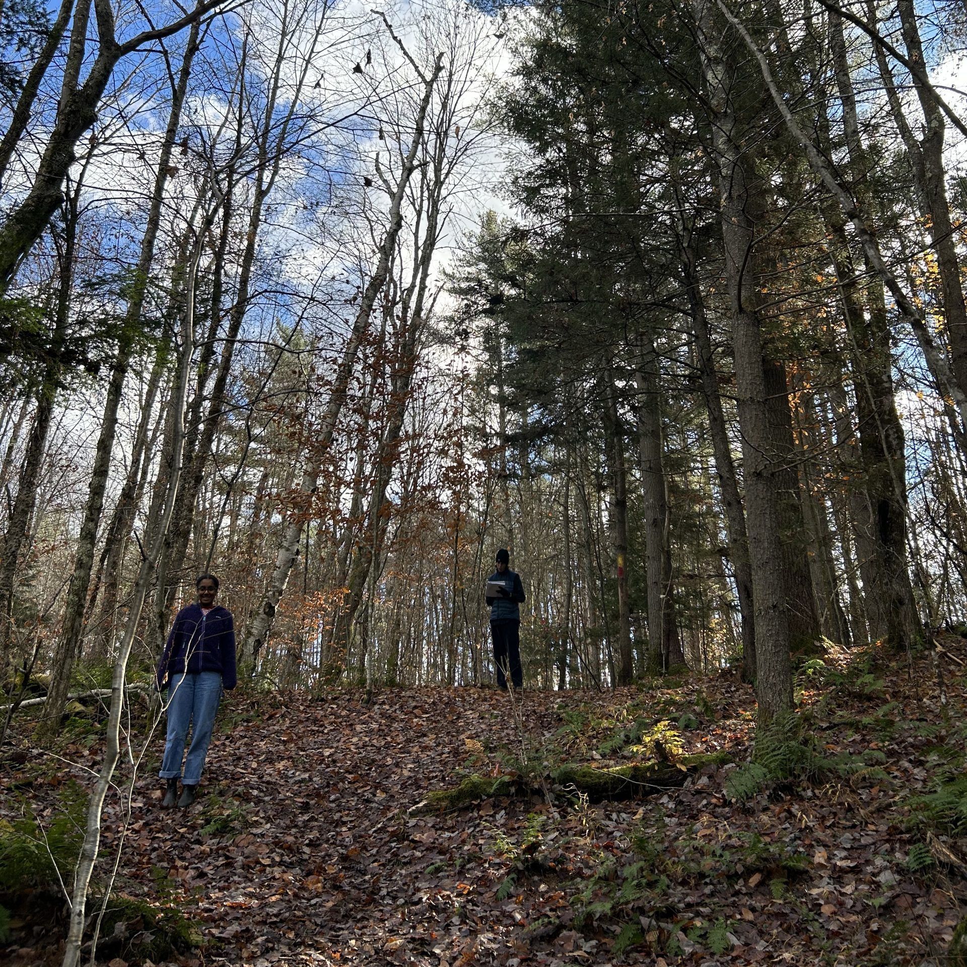 These adventures get participants outside to explore natural areas in Addison County! Each adventure leads you through a trail with a series of directions and clues containing local ecological knowledge. Participants are supported to develop a keen eye for features of the environment.