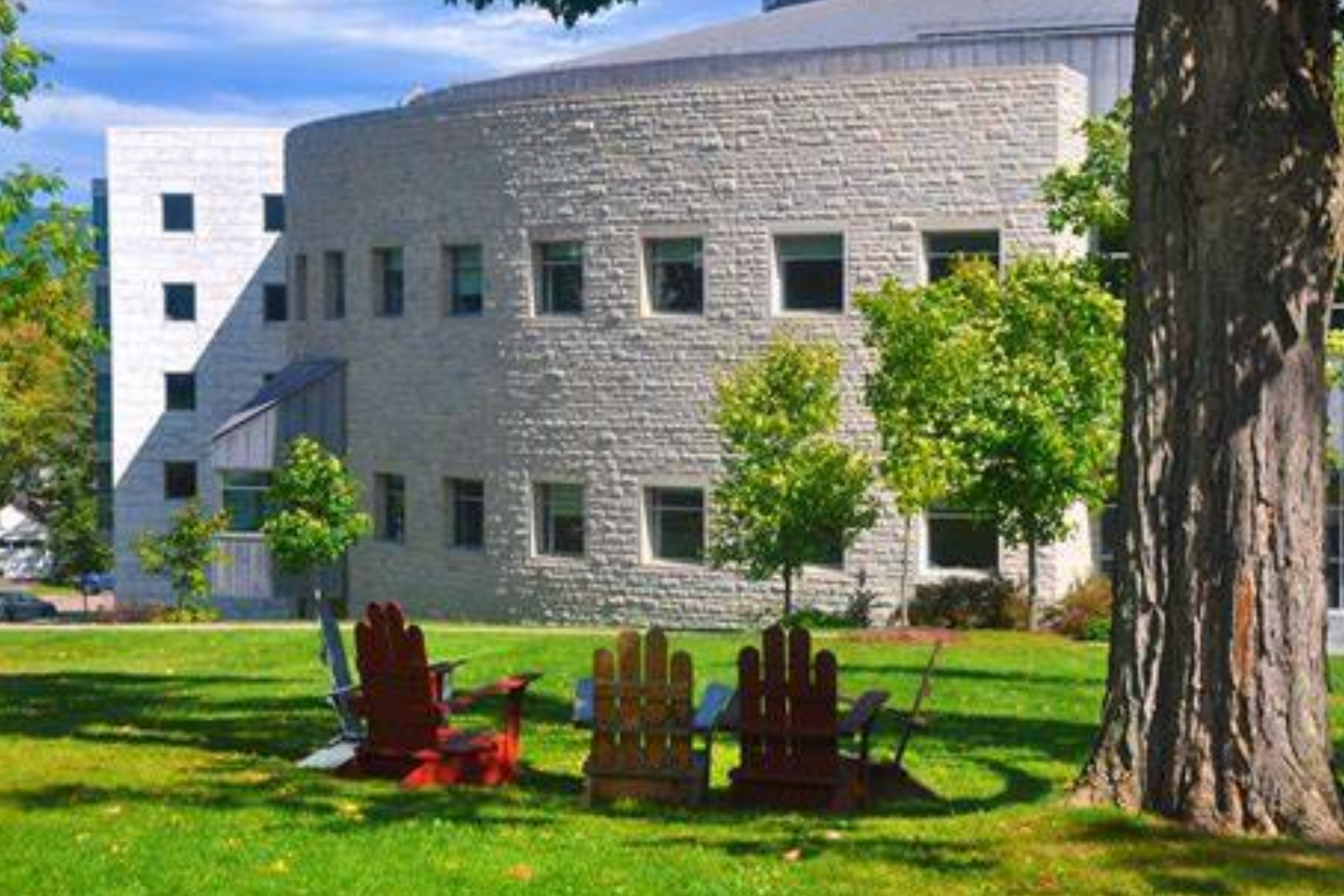 davis library