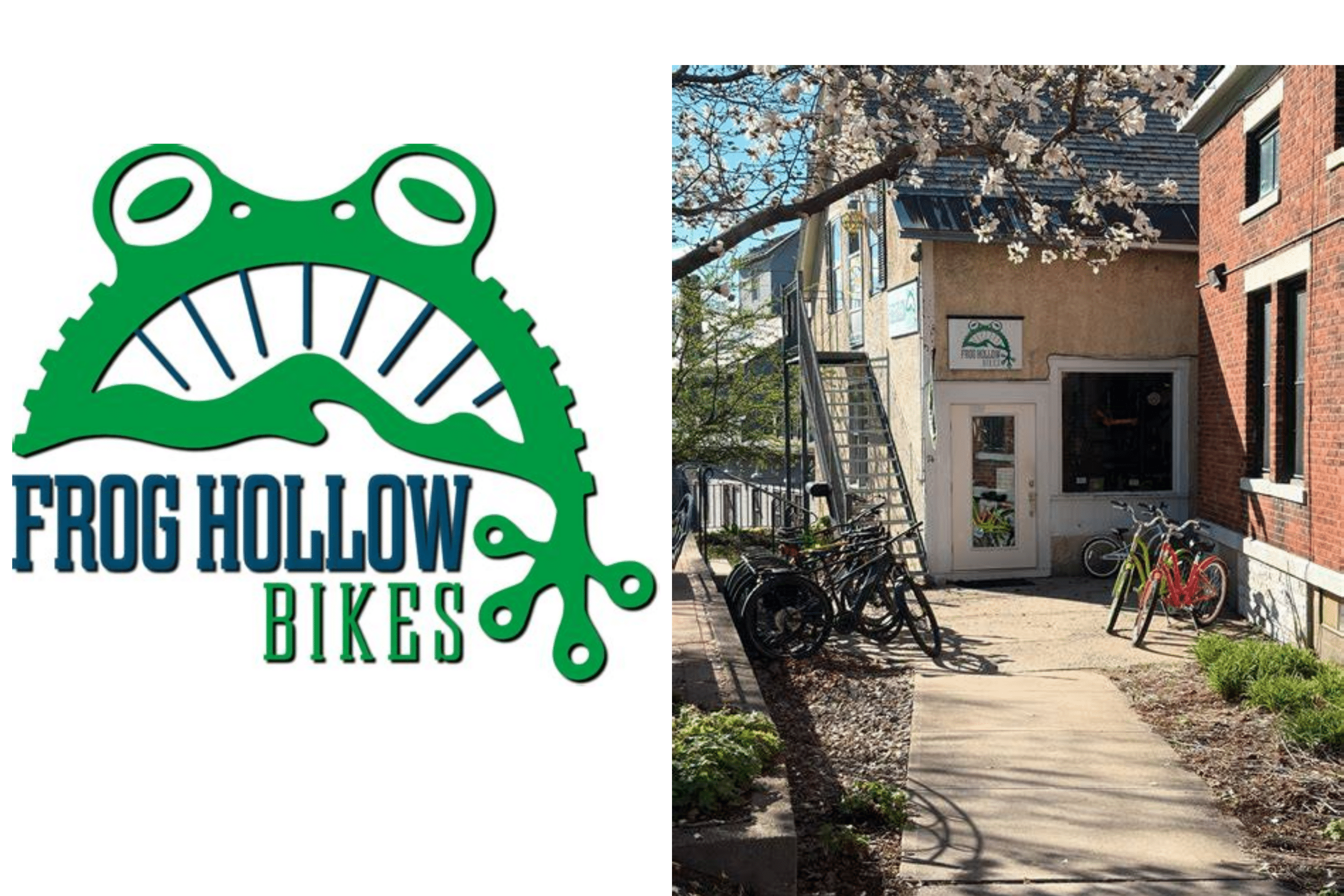 frog hollow bikes