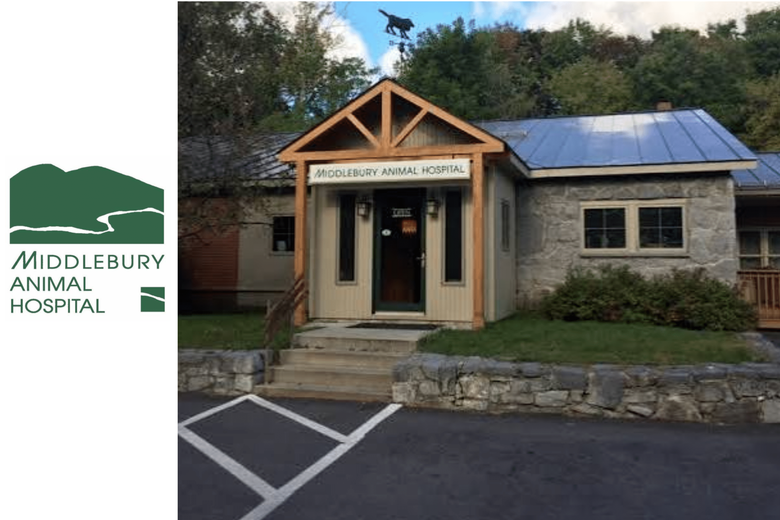 middlebury animal hospital