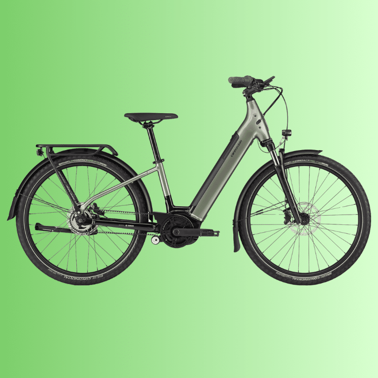 e-bikes (1)
