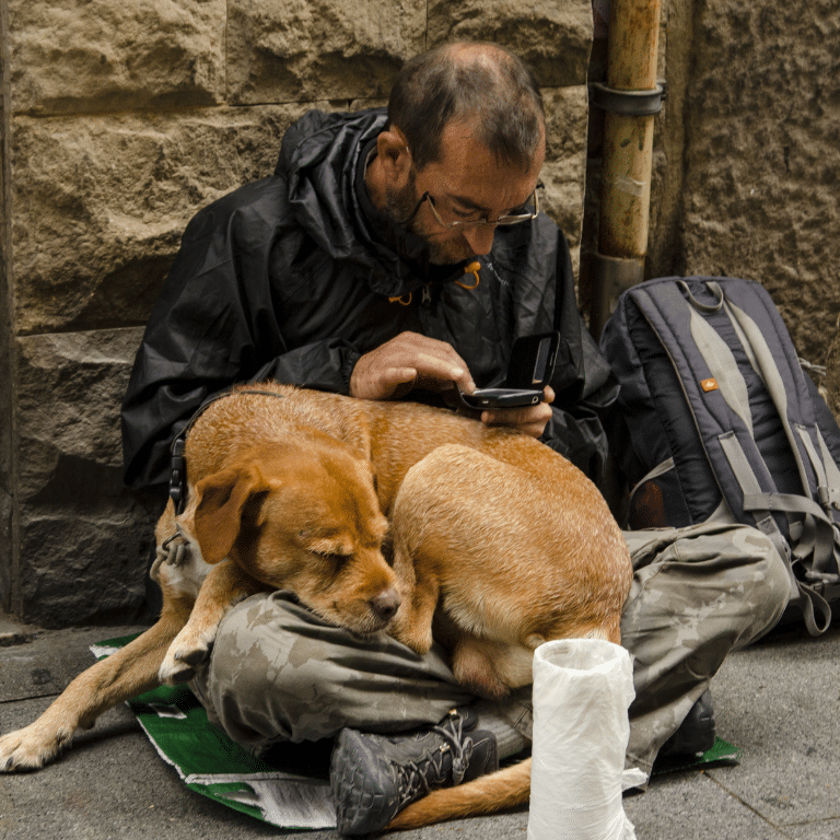 pet support